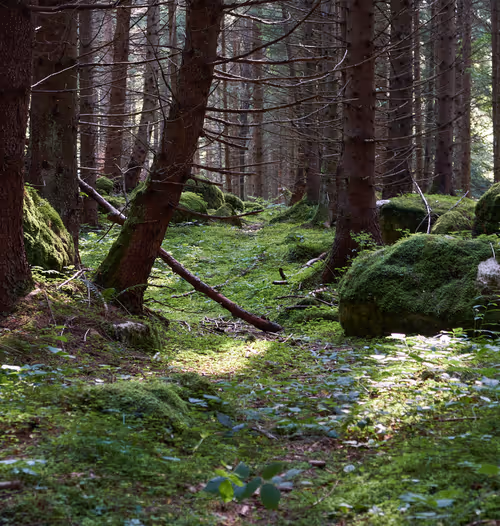 Item #105475816949175725597838668609224528502922702307421382918206128505612450922497 Media