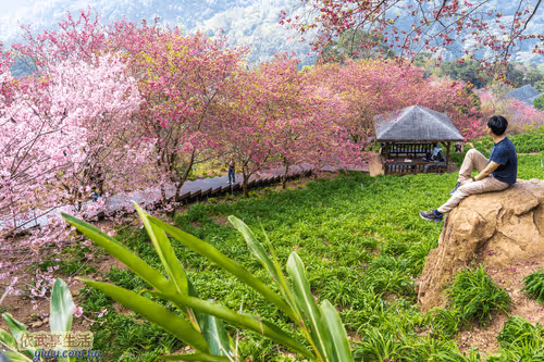 Item #100744422725674417057824683306763013505668843176654858816283484000002234122241 Media