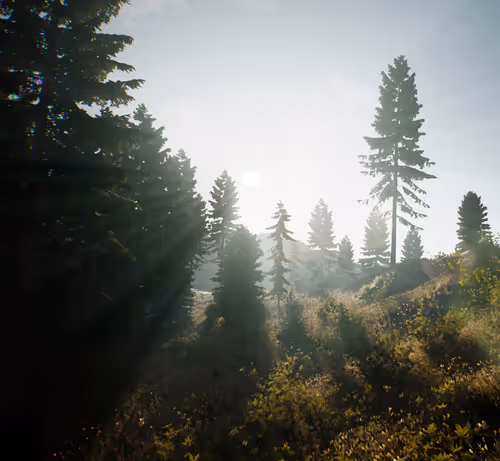 Item #31222563927753726467936286855417645848048844337257587790558749979564843204658 Media