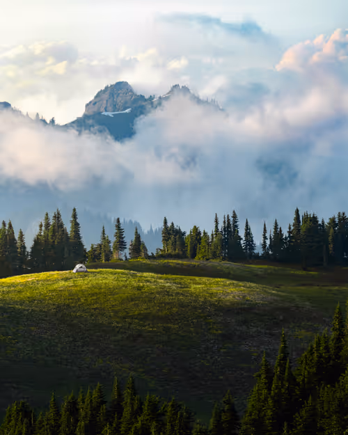 Item #11724833867030775132241085553592039053623098659522650139885247759190715269121 Media