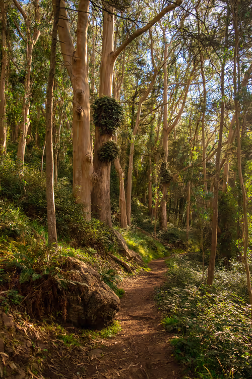 Item #82666956697073059935250471949023285858624698901330742305278420804192648036353 Media