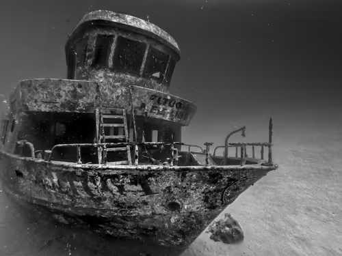 Item #19055507172542008720847652875739134943626923912998575187859622418434156920833 Media