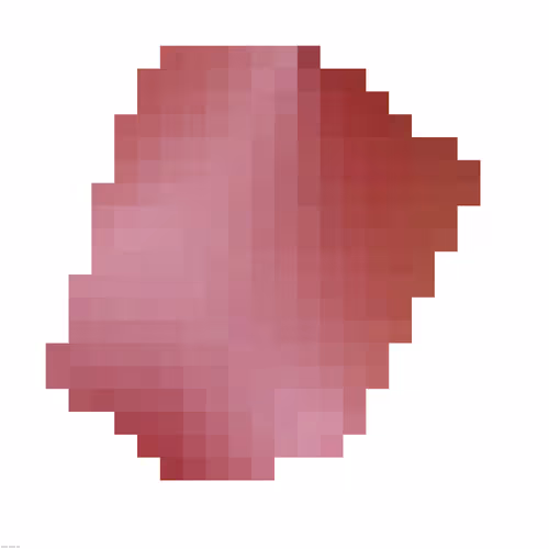 Item #80671015750030835512945602885533526873837684056892480579450740600387850469377 Media