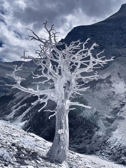 Item #62001089897654043678582796294711651900724303774679820814799839848866389164033 Media