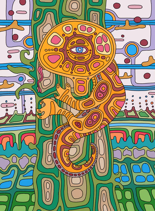 Item #44212596684720901552345810120816685475612880654855875048046738142212923588613 Media