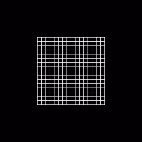 90902314205203077728249920157874846684211667915869126081593444776678304776193