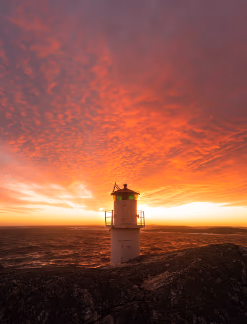 Item #72651886882207206539966383415555664124556444317113885039601297093049200934913 Media