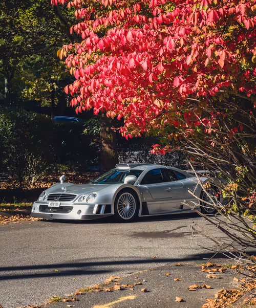 Item #31306949431079082875472894456006319516026694367471683219785722342018591490049 Media