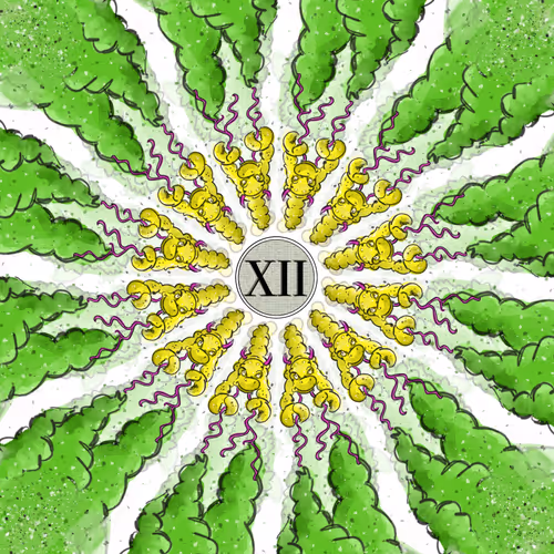 Item #42891013082704895259429394146954520161972885420018693466083462262044412084225 Media