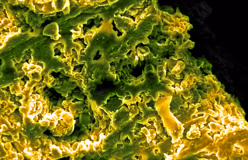 Item #115505927728344181025262329658899620468765138243295584093365708426487590289409 Media