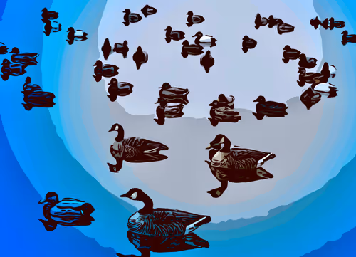 Item #11059950706512792654802825929225580501304675851141237056698729664255751094277 Media