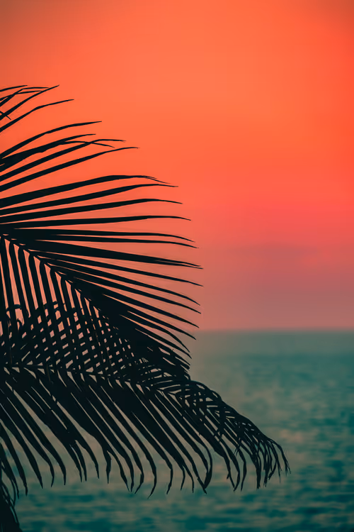 Item #35557780727049604459658880725917592814256363748111026780455796845365033959425 Media