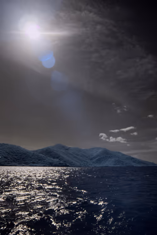 Item #84630877256389803822544637333020280854396826404545033634090050565239017046017 Media