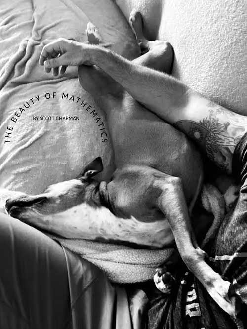 Item #114279786815483835742935838326294260638396500058431288090028659224906127376394 Media