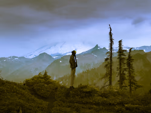 Item #3601436234996315430006013910499200169478742861984113335982183058483363971073 Media