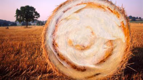 Item #48633838048998583663320801872641342627589424413345964441345781877384694202369 Media