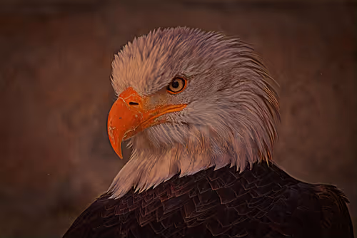 Item #75164984898551115248887010361709320867309151549896276985250492600769040089089 Media