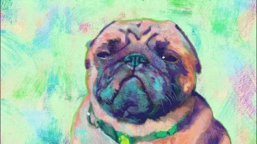 89815326995567074449951065684345452040504008742453983149869822647989803417607