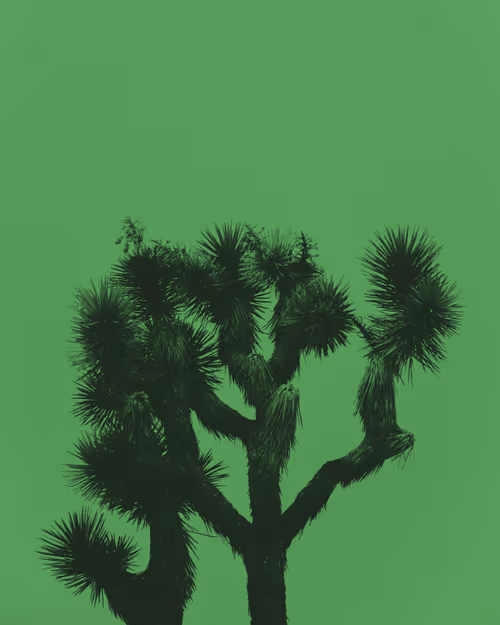 Item #30505376151714534788901893272426756078868651055776643414965977857605123440655 Media