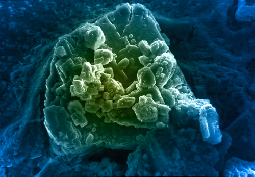 Item #115505927728344181025262329658899620468765138243295584093365708457273915867137 Media