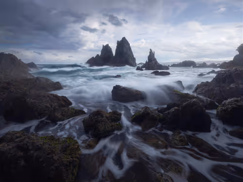 Item #112241139933589088795661151874445265147488650533013612432304602918822965411841 Media