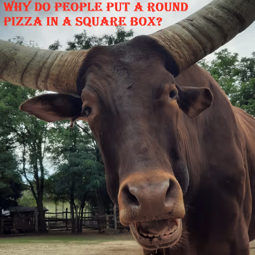 51313302132644519913343847646347811445510524411913136629935896401361403641857