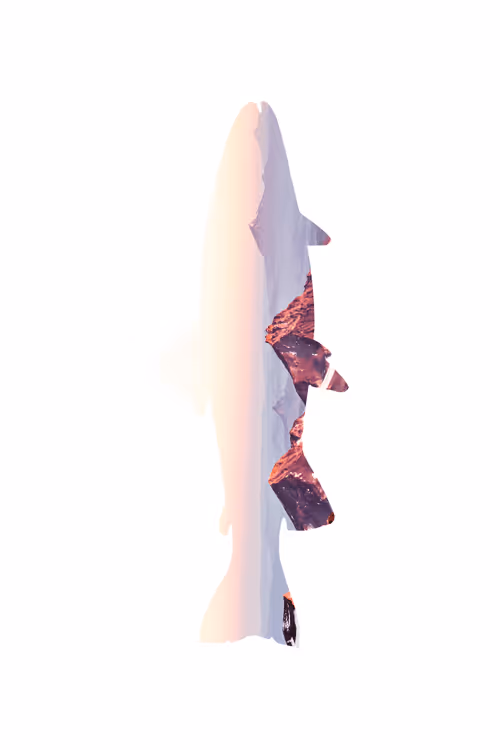 Item #108690322610415126541494735983946097923387489104083024879500461954017997619201 Media