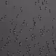 96722404509651341404320943971918278257484839250108932769859130402848135708673