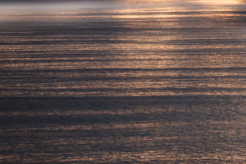 Item #56478856313177005722278897063070921997898574043466539873768020133915903655937 Media