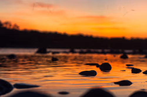 Item #75549937673256164570194790433587137201124843367167804247091585041551350300673 Media