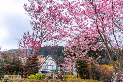 Item #100744422725674417057824683306763013505668843176654858816283483987907606216705 Media