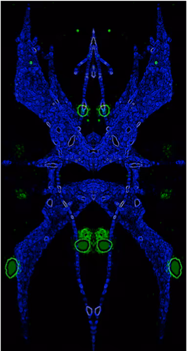 Item #88178403044767415627587356713480527064190058528292718512072958382169932169217 Media