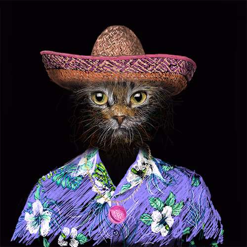 Item #53385941456676190110838339911728309048210199864448931637696851278123579211777 Media