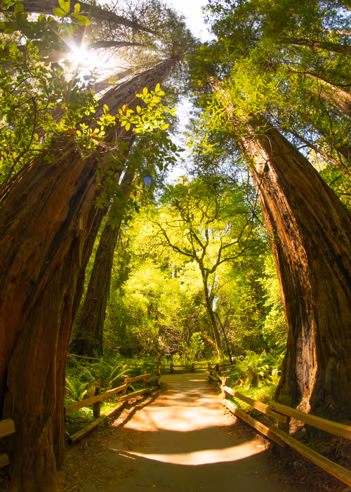 Item #82666956697073059935250471949023285858624698901330742305278420777804368969729 Media