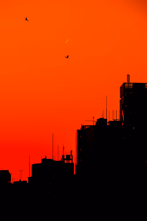 Item #69621890200610060160525318409719842078865320905189083870639293959312209084417 Media