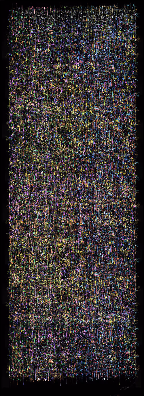 Item #87855534987201374925371944818297600221317149567981150322417554448405814575105 Media