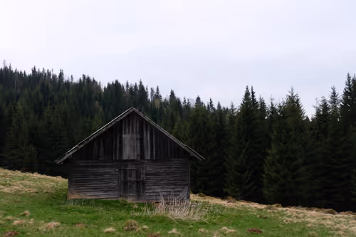 Item #105475816949175725597838668609224528502922702307421382918206128483622218366977 Media