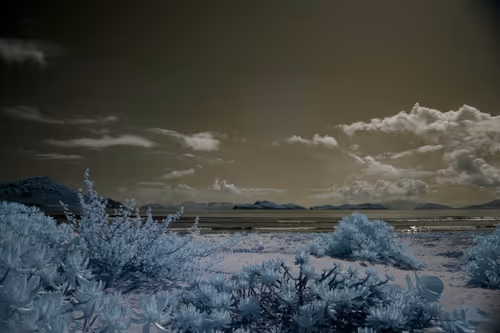 Item #84630877256389803822544637333020280854396826404545033634090050550945365884929 Media