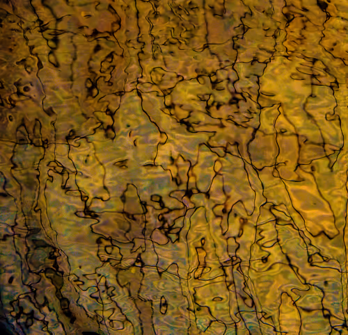 Item #46944938960673813338886078484753725649704761044692071067945505055177468542977 Media