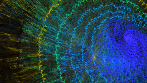 Item #4131897813448906462745634582915602247361068042784661963119482906516364722177 Media