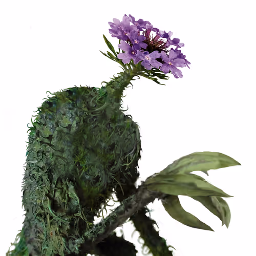 Item #69263692734302161044241320265110333107332673808638480991274558716292381016065 Media