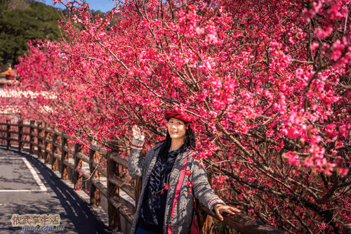 Item #100744422725674417057824683306763013505668843176654858816283483920837396922369 Media