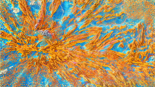 Item #48639178618451515173066032611535464228041293904193513055031170279636490780673 Media