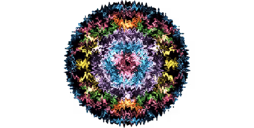 Item #103552377705233236851071793920236886747867822761715803302136029765438546116609 Media