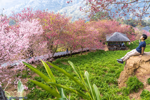 Item #100744422725674417057824683306763013505668843176654858816283484001101745750017 Media