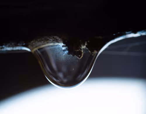 Item #59259199848972023857732761646304634361280699770576024418514166931157352972289 Media