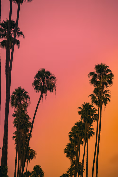 Item #35557780727049604459658880725917592814256363748111026780455796812379685126145 Media