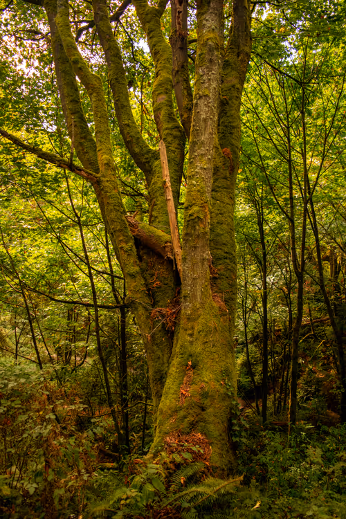 Item #82666956697073059935250471949023285858624698901330742305278420806391671291905 Media