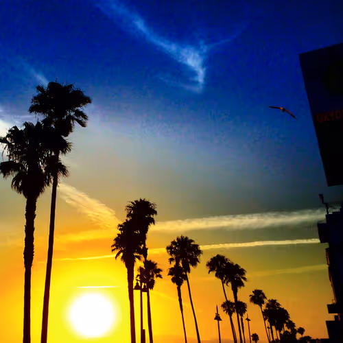 Item #53959197177495014771201938020127458725999398035835080617862468278424656936961 Media