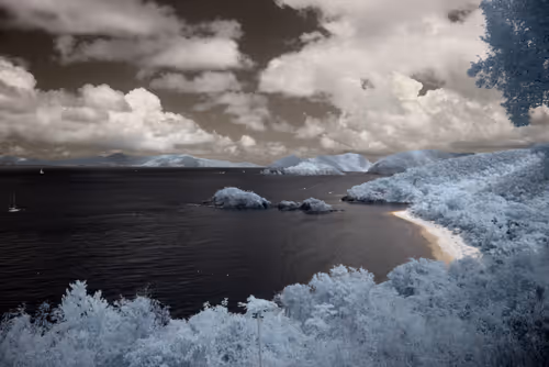 Item #84630877256389803822544637333020280854396826404545033634090050542149272862721 Media